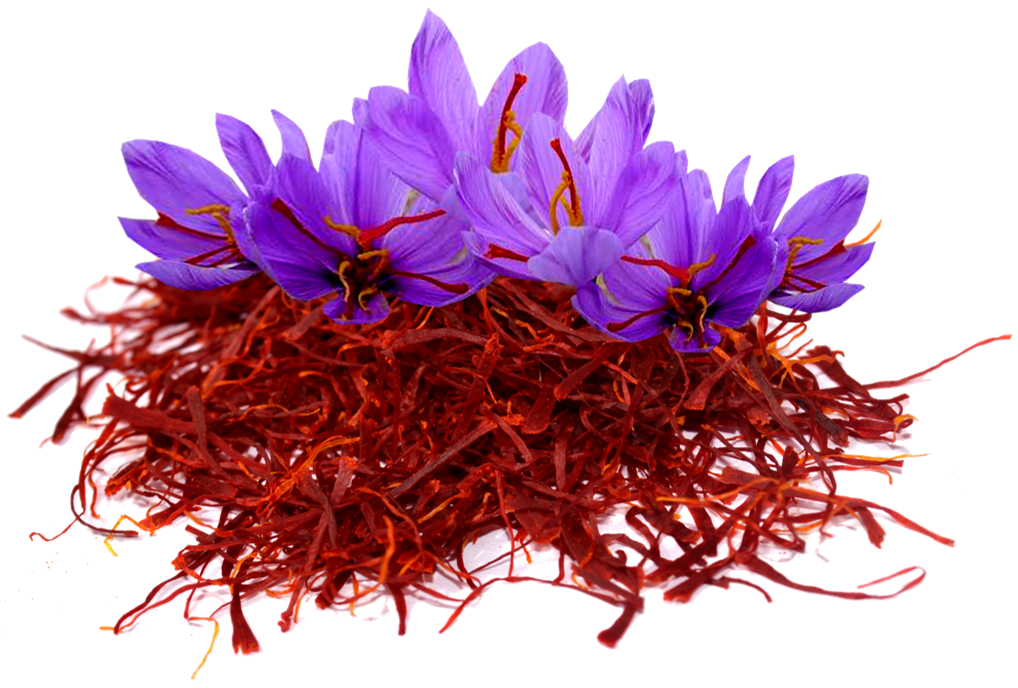 Detail Bunga Saffron Png Nomer 3