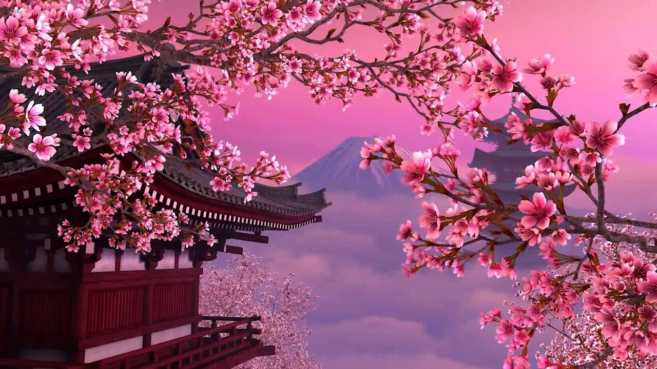 Detail Bunga Sakura Background Nomer 16