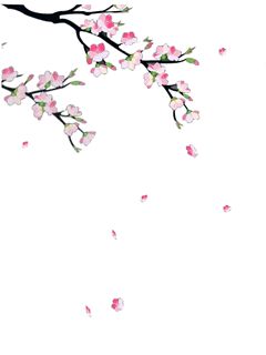 Detail Bunga Sakura Background Nomer 32