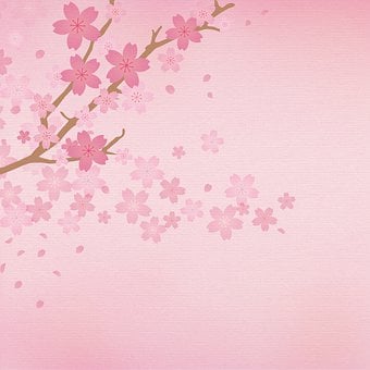 Detail Bunga Sakura Background Nomer 33