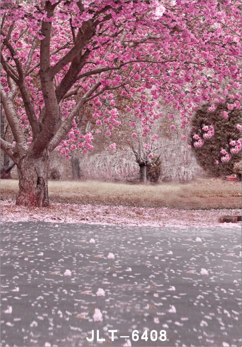 Detail Bunga Sakura Background Nomer 35