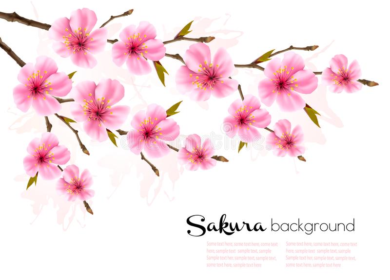 Detail Bunga Sakura Background Nomer 41