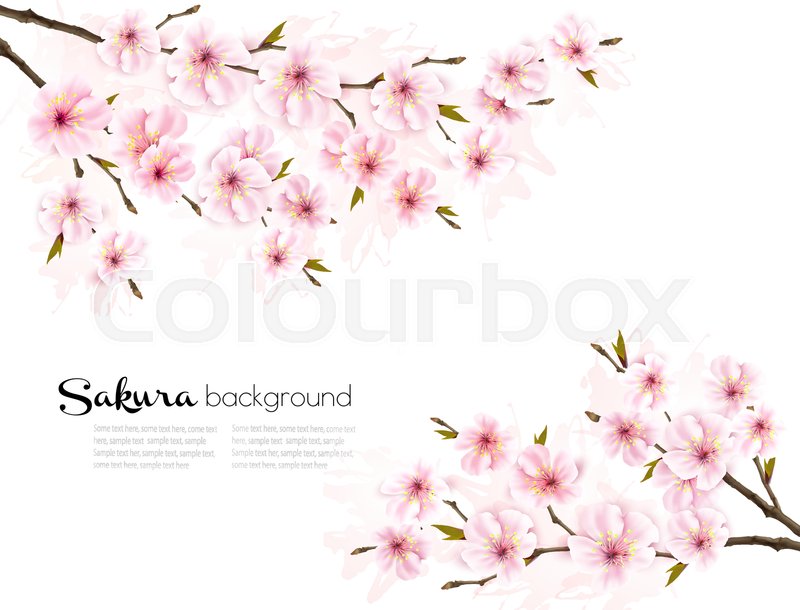 Detail Bunga Sakura Background Nomer 49