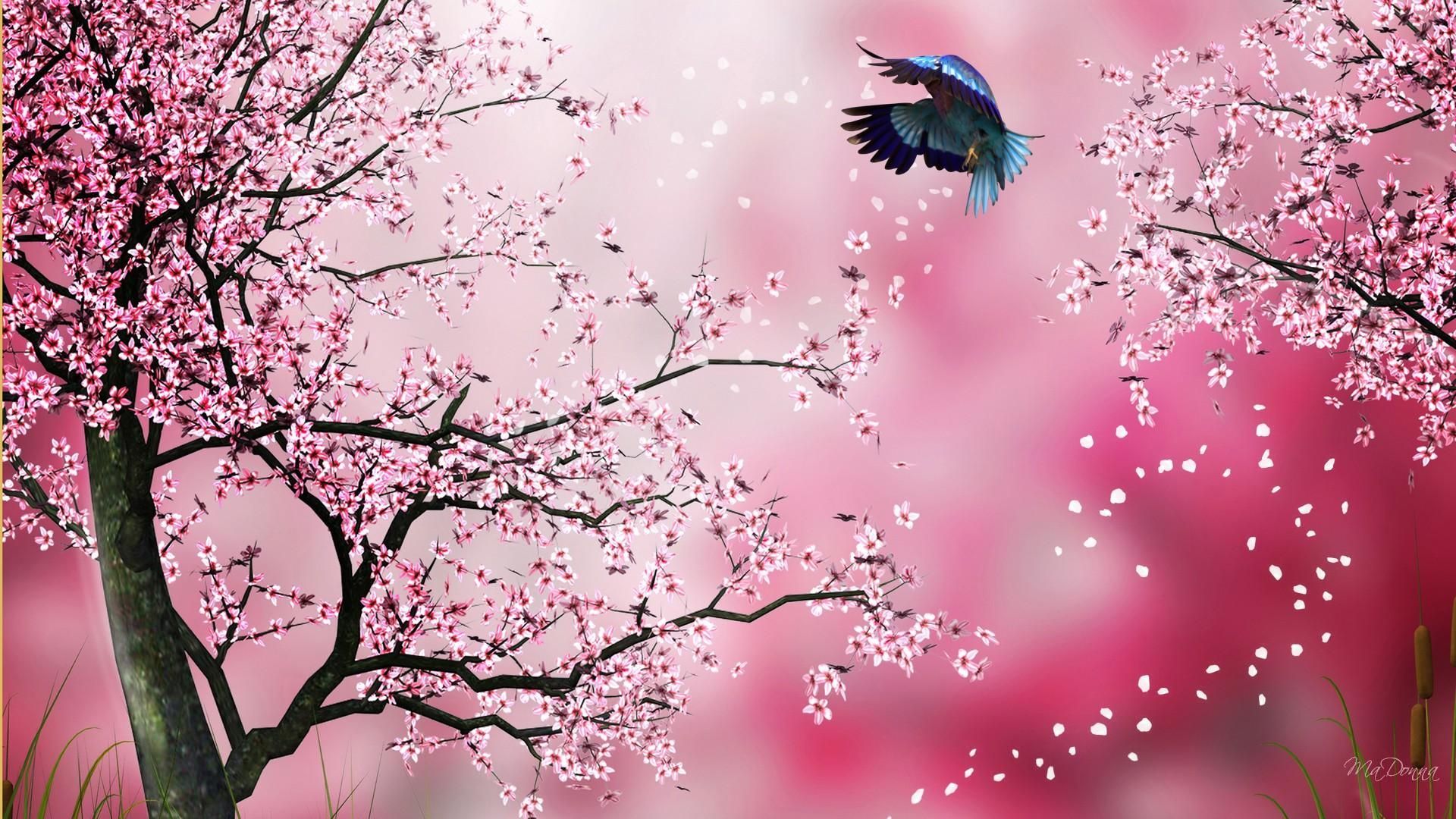 Detail Bunga Sakura Background Nomer 8