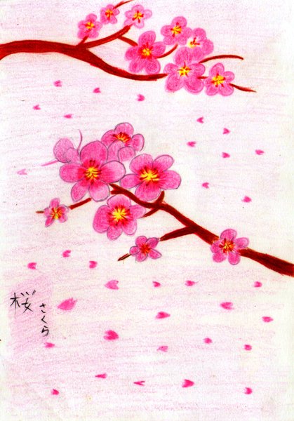 Detail Bunga Sakura Berwarna Nomer 9
