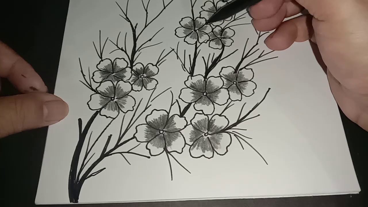 Detail Bunga Sakura Hitam Putih Nomer 29