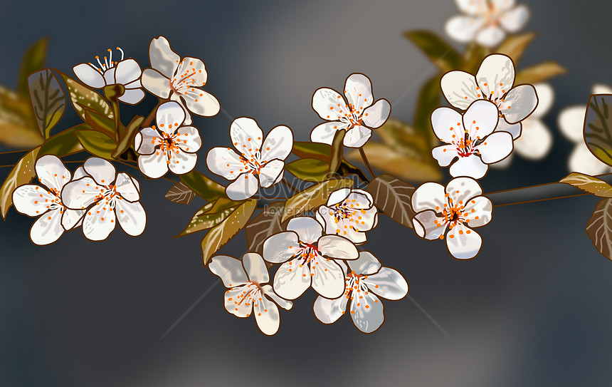 Detail Bunga Sakura Putih Nomer 34