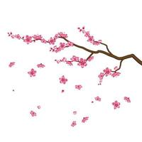 Detail Bunga Sakura Vector Nomer 4