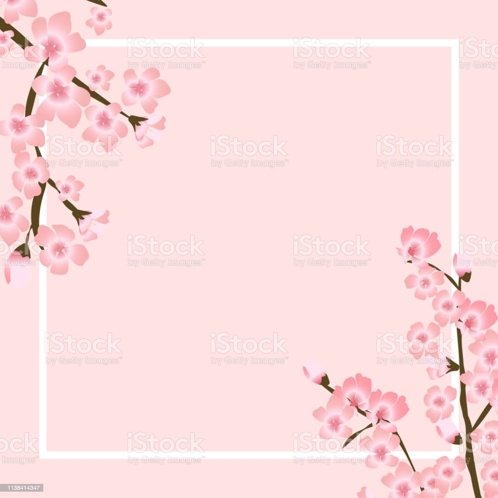 Detail Bunga Sakura Vector Nomer 43