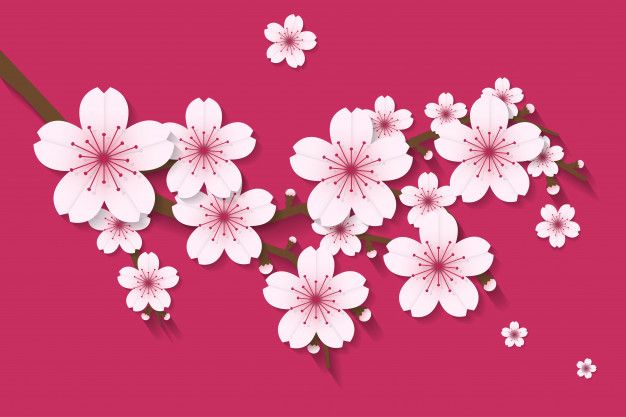 Detail Bunga Sakura Vector Nomer 56