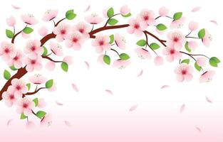 Bunga Sakura Vector Free - KibrisPDR
