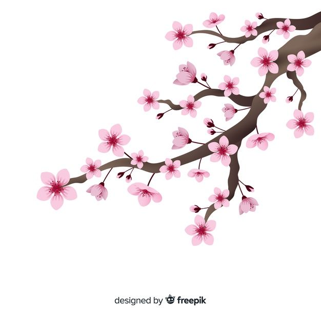 Download Bunga Sakura Vector Free Nomer 28