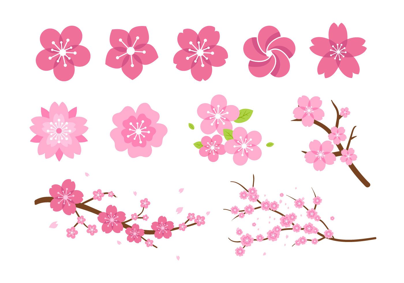 Download Bunga Sakura Vector Free Nomer 43