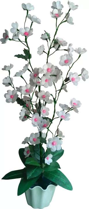 Detail Bunga Sakura Warna Putih Nomer 19