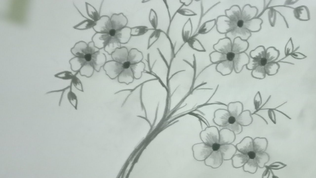 Detail Bunga Sakura Yang Mudah Di Gambar Nomer 29