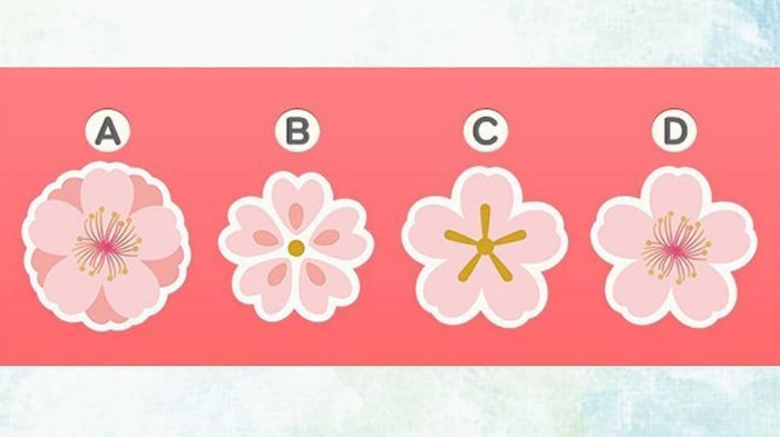 Detail Bunga Sakura Yang Mudah Di Gambar Nomer 42