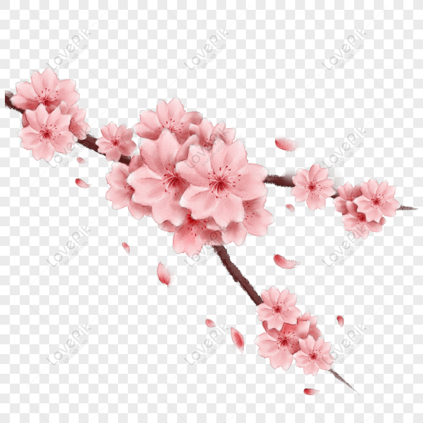 Detail Bunga Sakura Yang Mudah Digambar Nomer 44