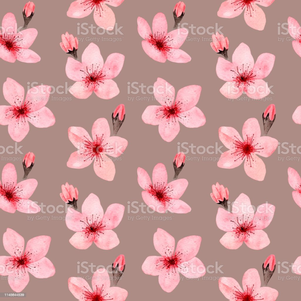 Detail Bunga Sakura Yang Mudah Digambar Nomer 56
