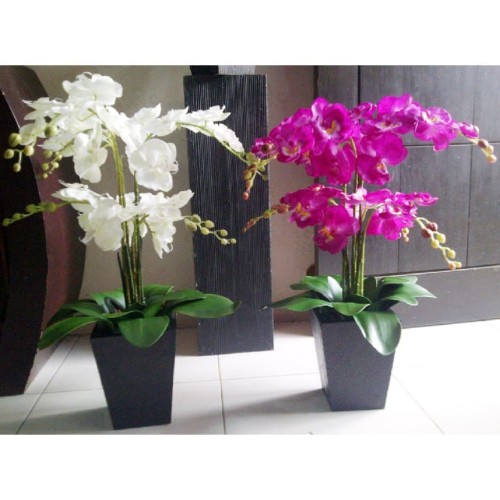 Detail Bunga Sudut Rumah Nomer 28