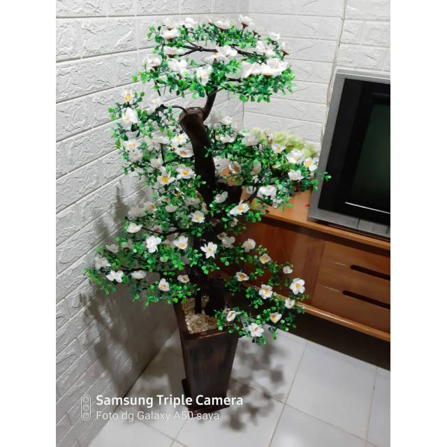 Detail Bunga Sudut Rumah Nomer 7