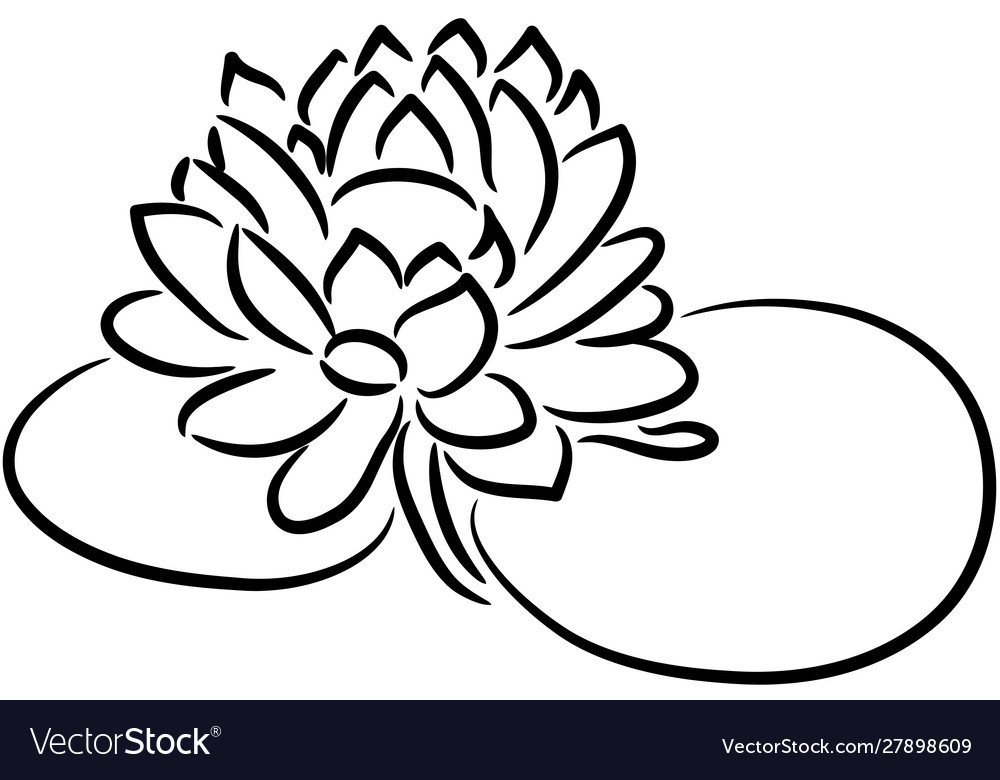 Detail Bunga Teratai Vector Nomer 49