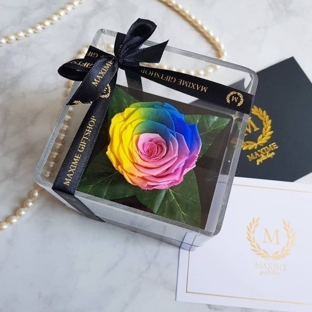 Detail Bunga Tercantik Di Dunia Rainbow Roses Nomer 19