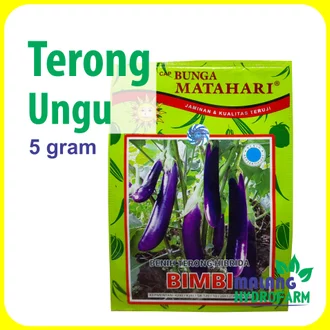 Detail Bunga Terong Ungu Nomer 51