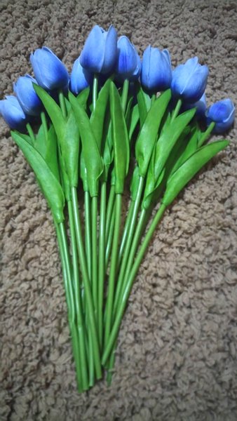 Detail Bunga Tulip Biru Nomer 28