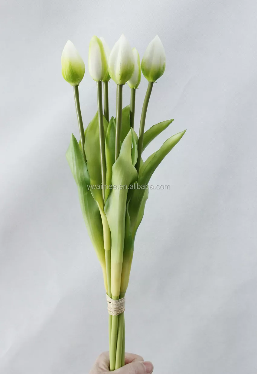 Detail Bunga Tulip Biru Nomer 32