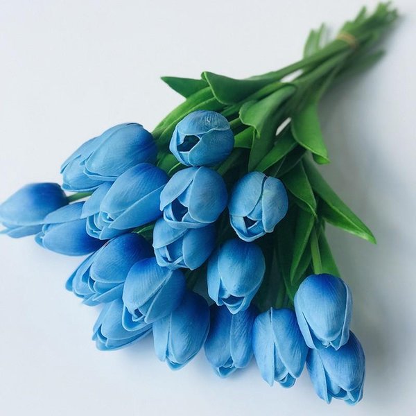 Detail Bunga Tulip Biru Nomer 35