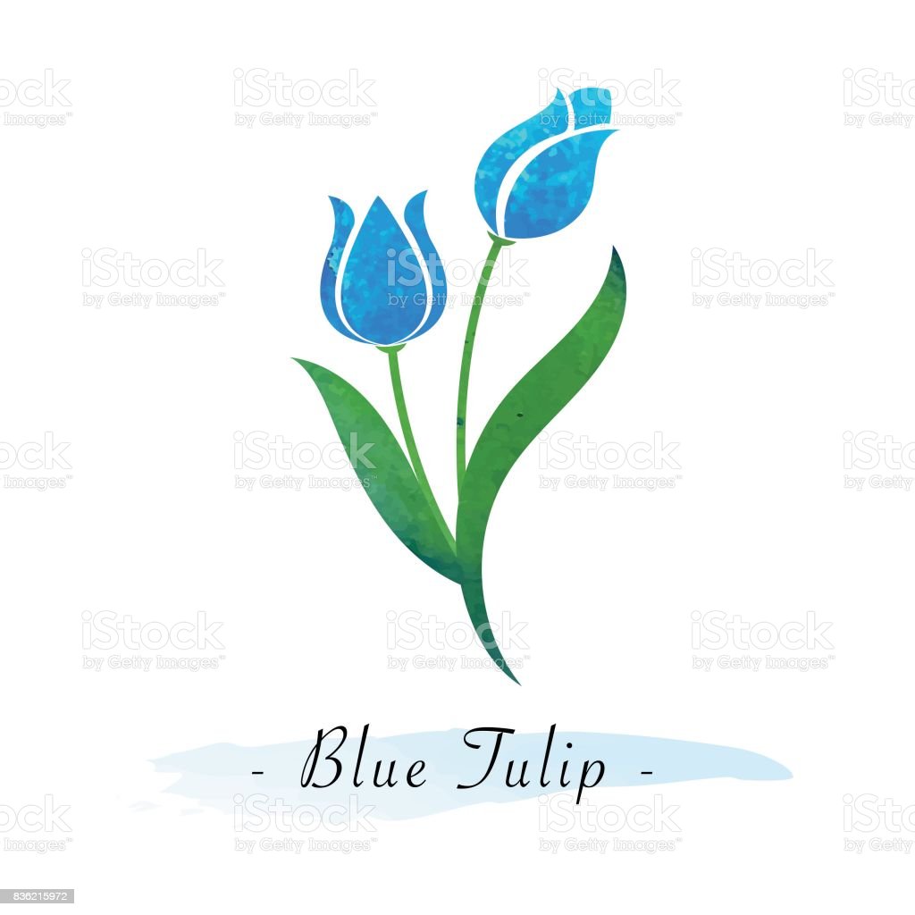 Detail Bunga Tulip Biru Nomer 40