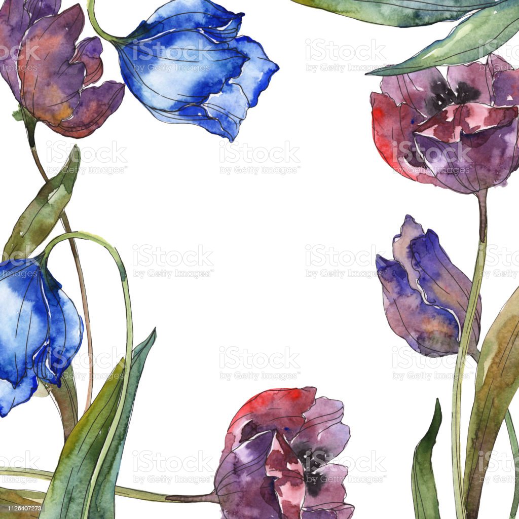 Detail Bunga Tulip Biru Nomer 52