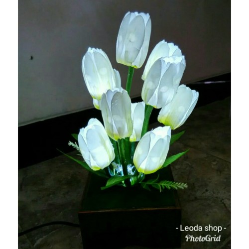 Detail Bunga Tulip Hitam Putih Nomer 42