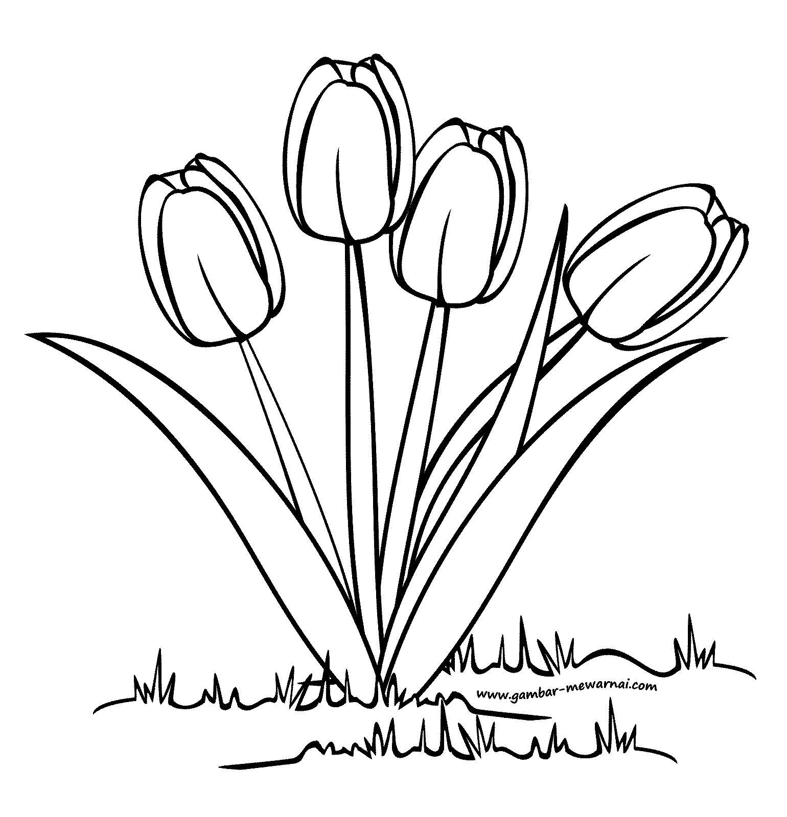 Detail Bunga Tulip Hitam Putih Nomer 9