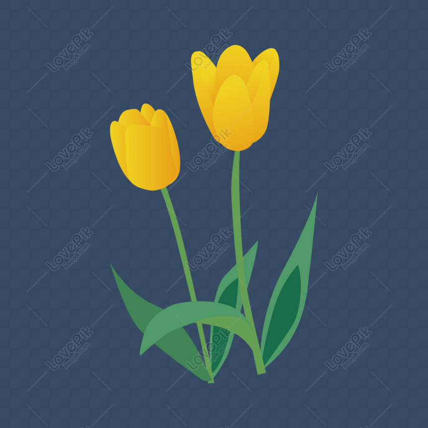 Detail Bunga Tulip Kuning Nomer 26