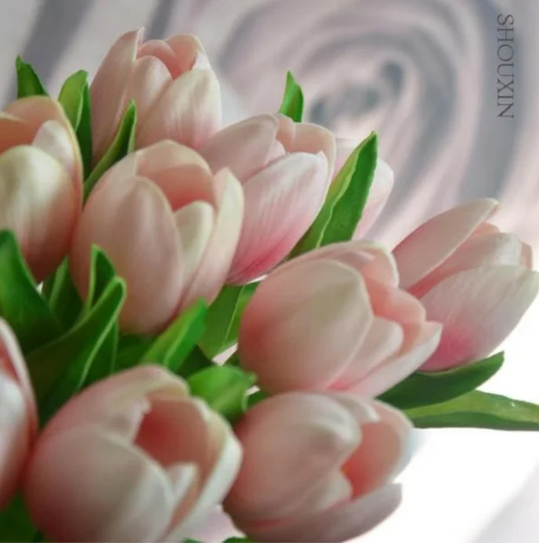 Detail Bunga Tulip Mekar Nomer 26