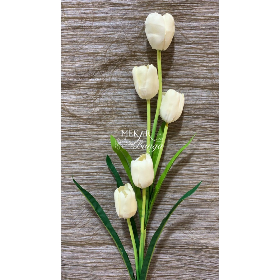 Detail Bunga Tulip Mekar Nomer 45