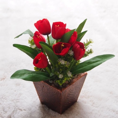 Detail Bunga Tulip Merah Nomer 42