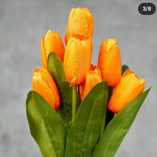 Detail Bunga Tulip Orange Nomer 33