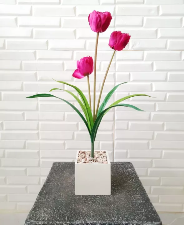 Detail Bunga Tulip Putih Cantik Nomer 25