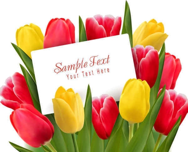 Detail Bunga Tulip Vector Nomer 11