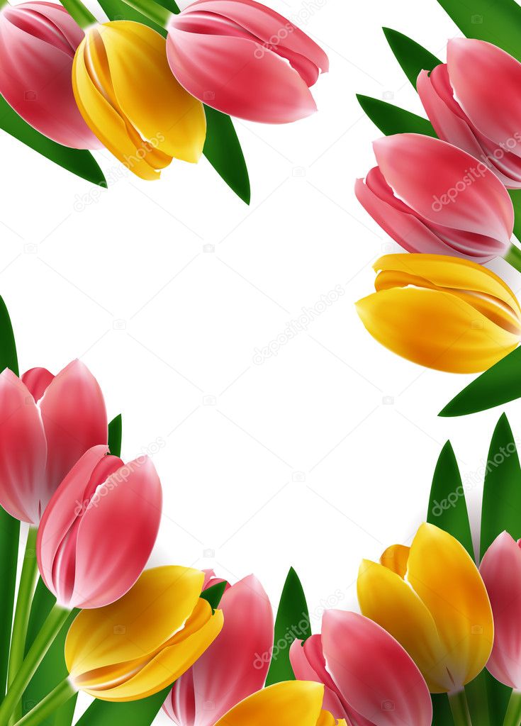 Detail Bunga Tulip Vector Nomer 21