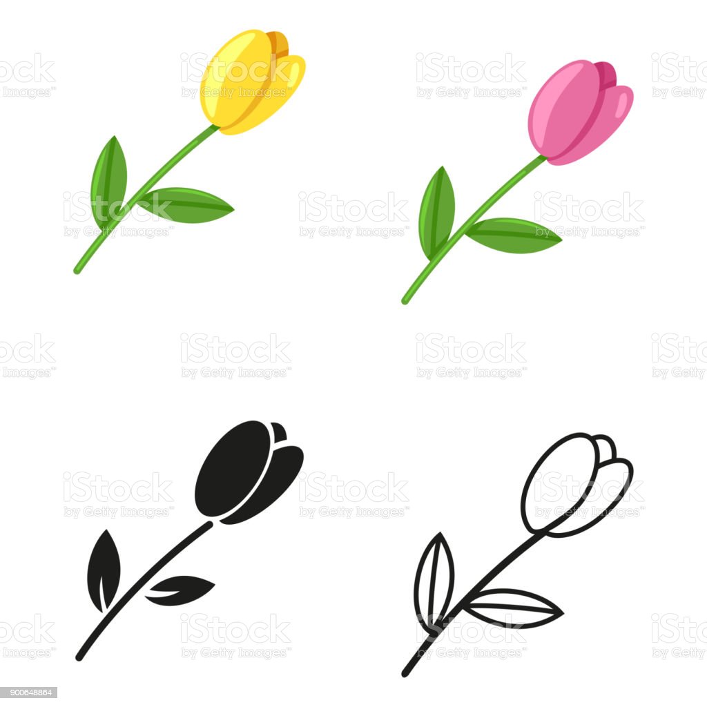 Detail Bunga Tulip Vector Nomer 36