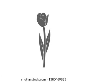 Detail Bunga Tulip Vector Nomer 37