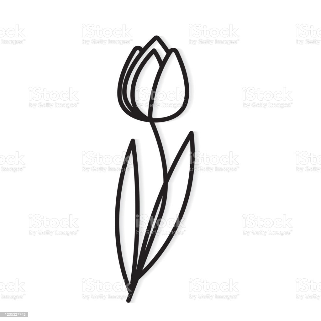 Detail Bunga Tulip Vector Nomer 5