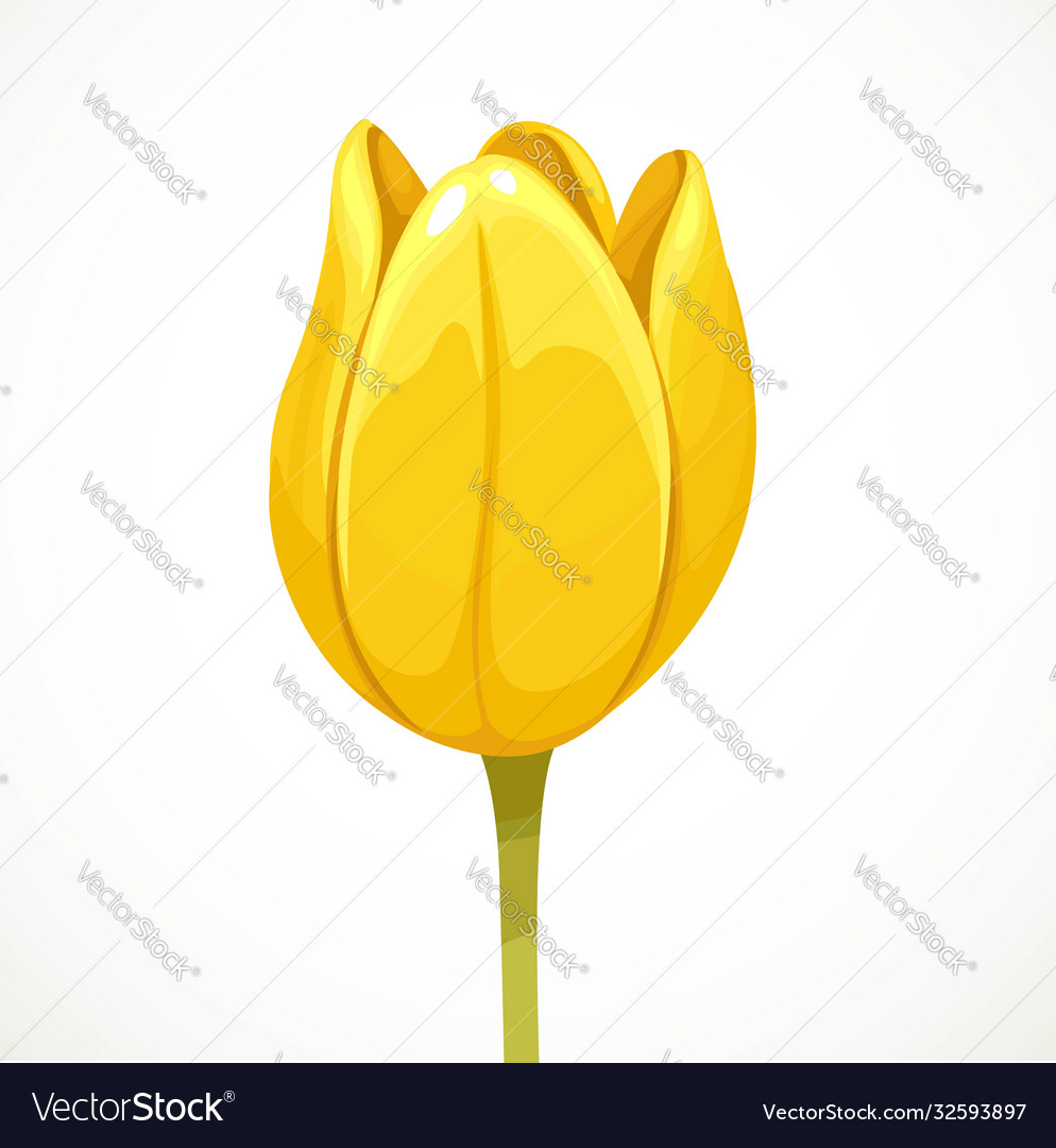 Detail Bunga Tulip Vector Nomer 39