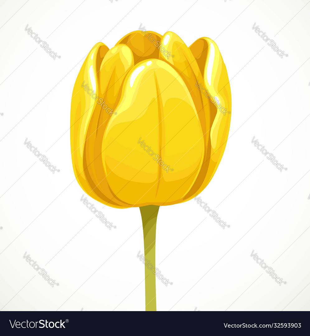 Detail Bunga Tulip Vector Nomer 49