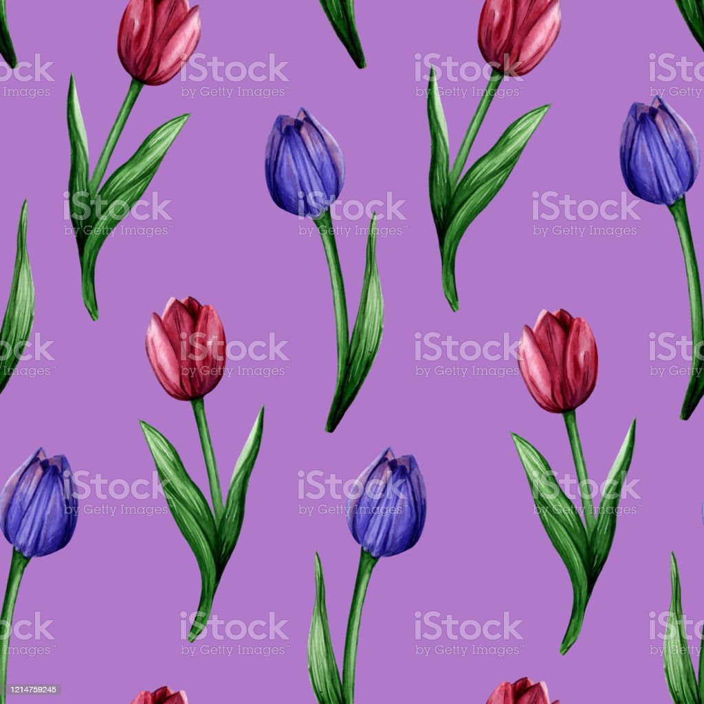 Detail Bunga Tulip Warna Warni Nomer 56