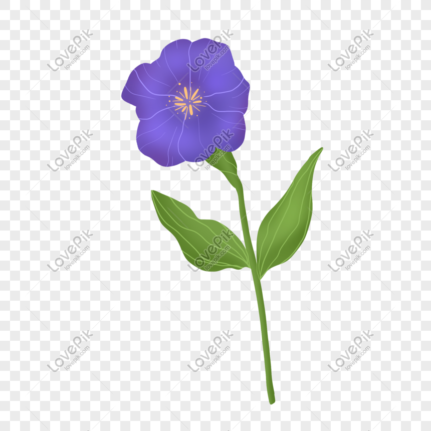 Detail Bunga Violet Biru Nomer 45