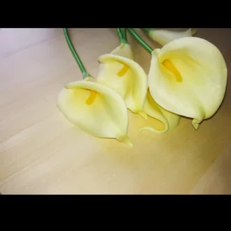 Detail Bunga White Lily Nomer 41